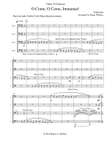 O Come, O Come, Immanuel (Emmanuel) - Tuba Quartet