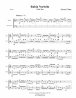 Bahia Norteño (violin-bass)