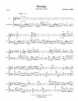 Stromp (violin-bass)