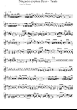 Nobody Explains God Solo Flute 1st & 2nd Voice