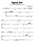 Agnus Dei (from Requiem of Emmett Till movement No 10 of 16)