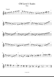 CM Flute Scales Level 1