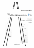 Walking Along Side to the Pole - Romance for Flute and Bassoon