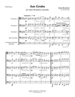 Am Grabe (At the Grave) for 4-part Trombone Ensemble Choir