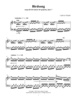 Birdsong (from Seven Days Walking: Day 7)