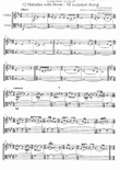 12 Melodies with Drone