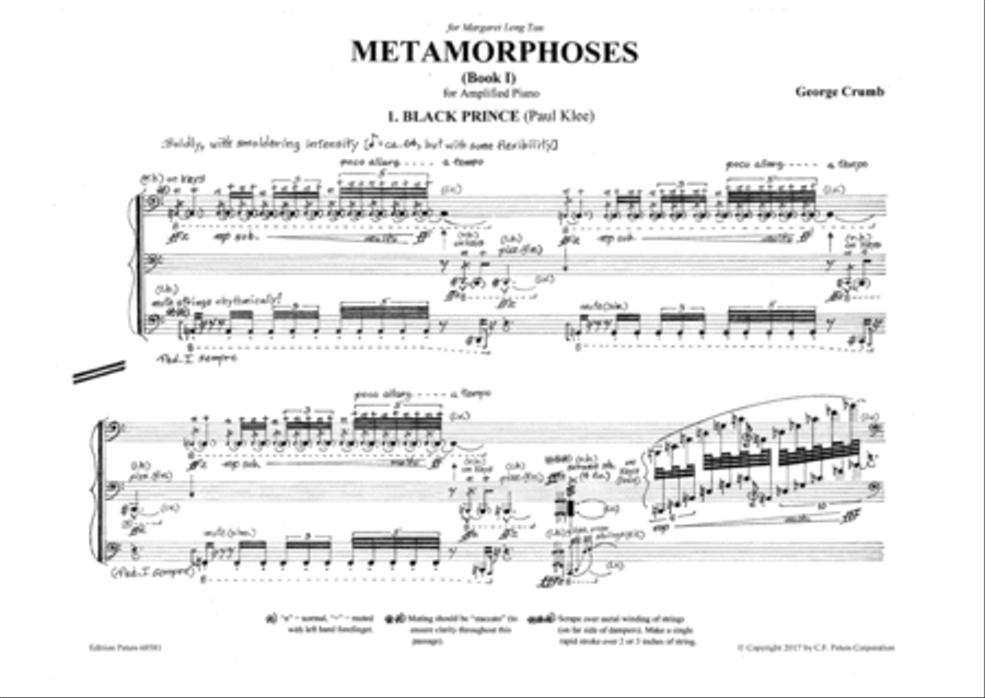Metamorphoses, Book 1 for Amplified Piano Piano Solo scores gallery preview page 4