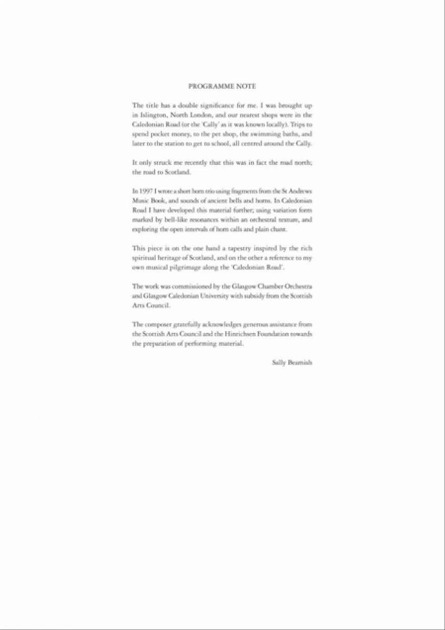 The Caledonian Road The Caledonian Road String Orchestra scores gallery preview page 6