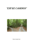 Entre caminos