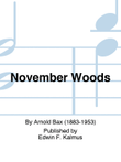 November Woods