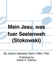 Mein Jesu, was fuer Seelenweh (Stokowski) mini preview