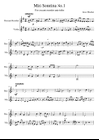 Mini Sonatina No.1 for recorder and violin