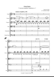 Asturiana - arr. for string orchestra