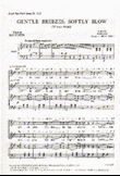 Johann Strauss Ii : Gentle Breezes Softly Blow