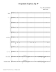 Pasquinade (Flute Nonet + Bass Clarinet & Contrabass Clarinet)