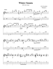 Winter sonanal(An beautiful song for guitar)