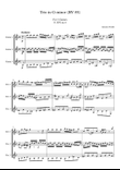 [RV85] Vivaldi's Trio in G minor for 3 guitars