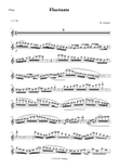 Fluctuate - Fast Flute Solo