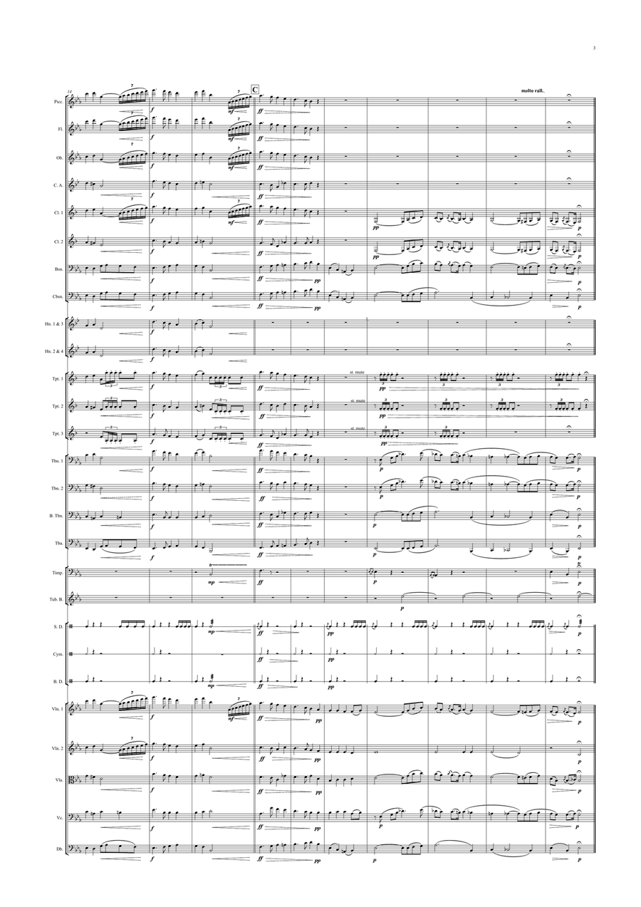 Hungarian National Anthem Hungarian National Anthem (Orchestre national d'Île-de-France Edition) Full Orchestra scores gallery preview page 3