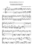 Estudo armorial n° 5, op.13 - for flute duo