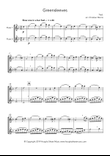 Greensleeves, fantasy for flute duet