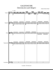 Galenmusik (Orchestral Score with Parts) for String Orchestra