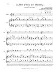 Lo, How a Rose E'er Blooming (violin/piano), arr. Brenda Portman