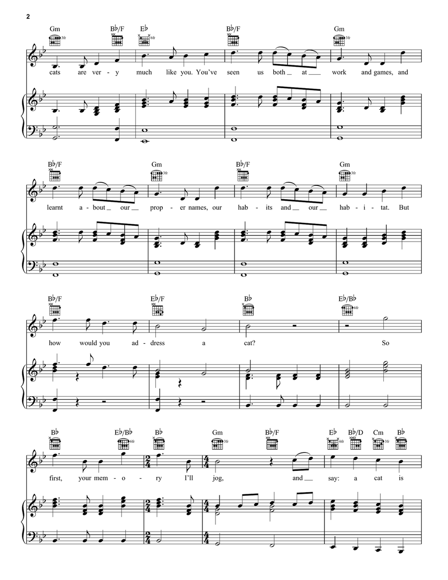The Ad-dressing Of Cats (from the Motion Picture Cats) Piano, Vocal, Guitar scores gallery preview page 2