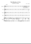 The Rhythm Of Life