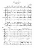 Die Lustige Witwe - The Merry Widow