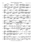 Flower Duet from Lakme by Delibes arranged for two violins