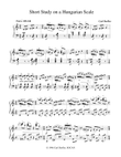 Short Study On a Hungarian Scale