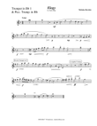 Elegy by Nick Bowden - instrumental parts and score