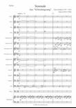 Serenade aus Schwanengesang - Franz Schubert arrangiert für Sinfonisches Bläserensemble