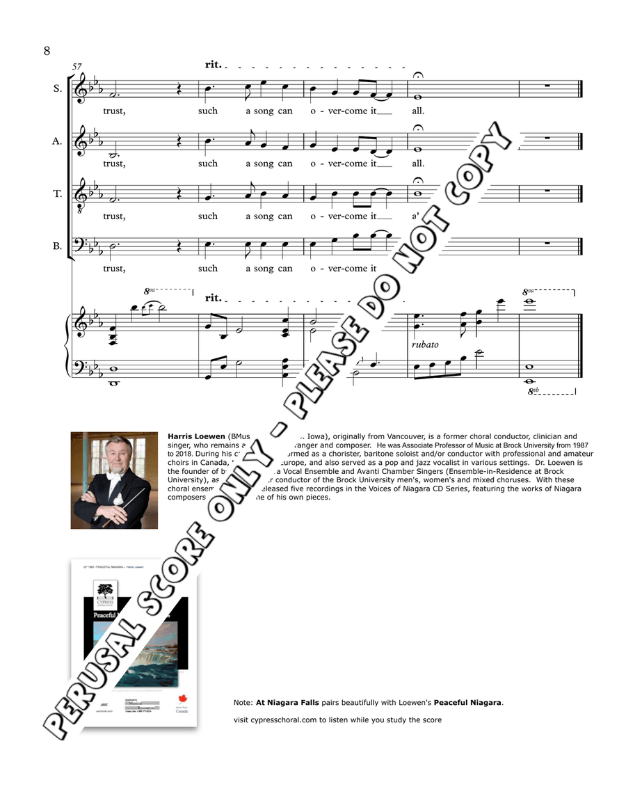 At Niagara Falls At Niagara Falls 4-Part scores gallery preview page 8