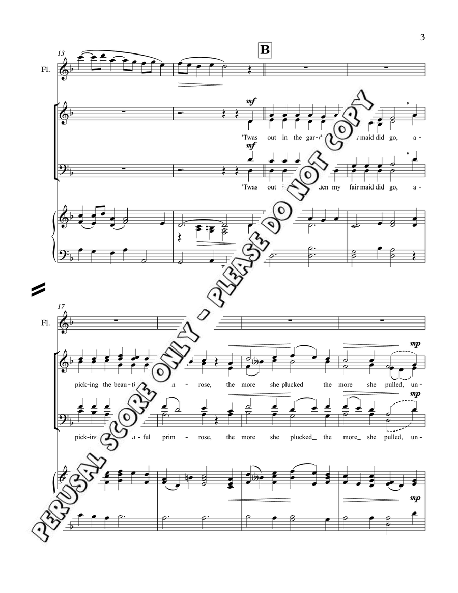 She's Like The Swallow She's Like The Swallow 4-Part scores gallery preview page 4