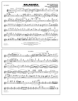Malagueña (arr. Jay Bocook) - Flute/Piccolo