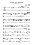 J S Bach Erbarme Dich, mein Gott from St Matthew Passion, BWV 244. Duet for Flute and Alto Flute.