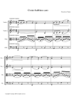 O Mio Babbino Caro by Puccini (arranged for String Quartet)