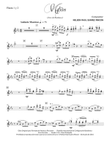 MATICES (parts)