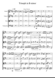 Triumph In B minor for String Orchestra