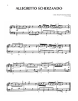 Allegretto Scherzando