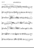 ANANGULA - an Australian Piece (Alto Fl.)