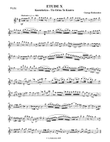 FLUTE ETUDE X - Based on a Greek Traditional Theme