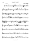 Flute Grande Etude I - Based On Greek Trad.Themes