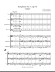 Beethoven Symphony No. 7, Movement 2 - Chamber Orchestra/Nonet