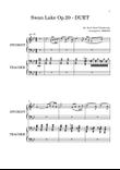 Swan Lake Op.20 - FULL DUET (both parts)