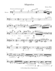 Solo Bassoon - 