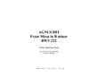 AGNUS DEI - From Missa in B minor BWV 232 - Arr. for Violin, Alto and organ 3 staff