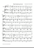 What Would Jesus Drive? (accompaniment and lead sheet)